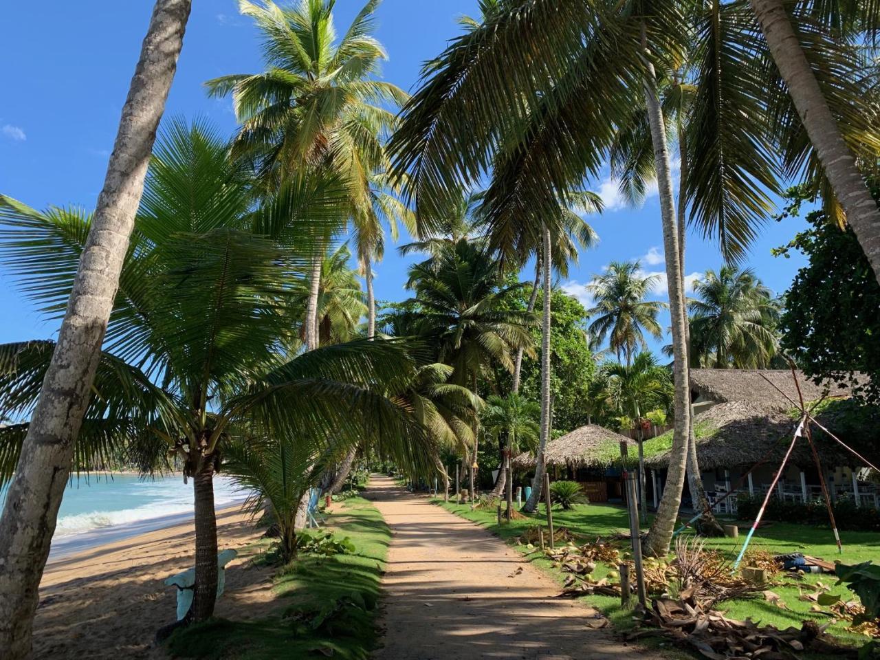 El Mosquito Boutique Hotel Playa Bonita Las Terrenas Exteriör bild