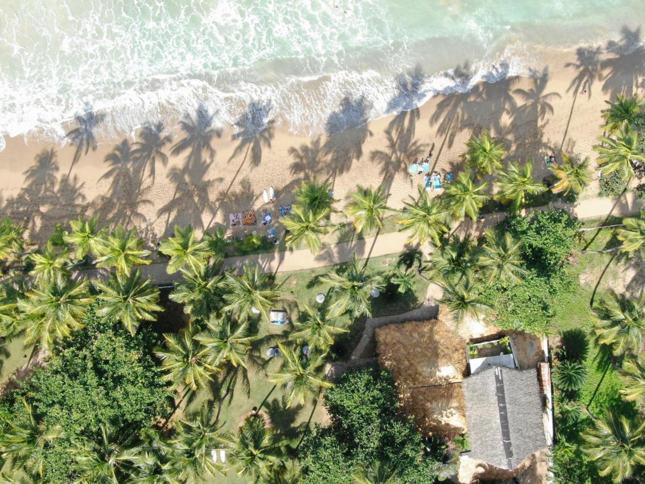 El Mosquito Boutique Hotel Playa Bonita Las Terrenas Exteriör bild